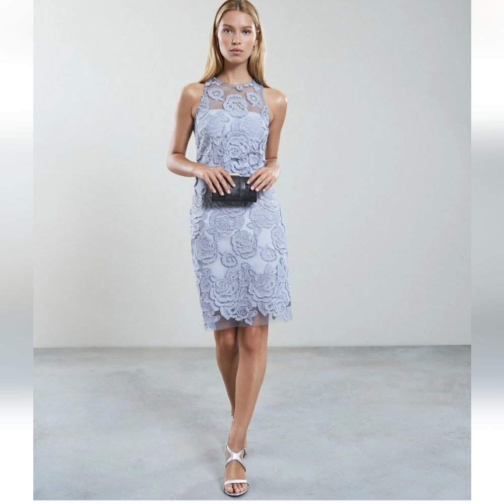 NWT Reiss MEGHAN Floral Lace Dress US 8 Silver Lake Pencil Occasion Dress